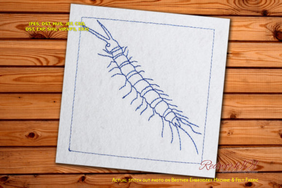 Evaluating the Creative Fabrica Centipede Worm Redwork Design