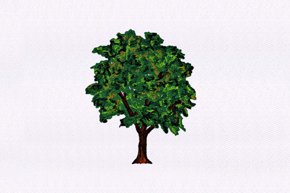 Evergreen Tree Design: A Timeless Embroidery Review for Personalized Gifts
